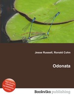 Odonata