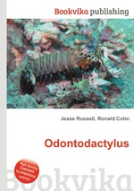 Odontodactylus