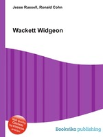 Wackett Widgeon
