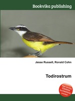 Todirostrum