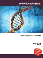 VPS24