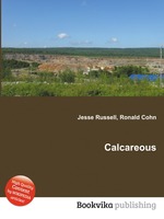 Calcareous