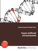 Yeast artificial chromosome