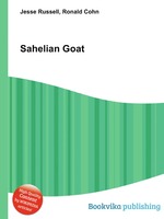 Sahelian Goat