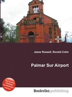 Palmar Sur Airport