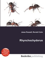 Rhynchochydorus