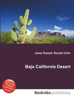 Baja California Desert