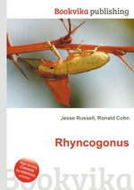 Rhyncogonus