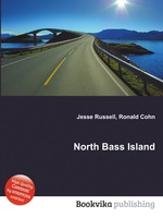 North Bass Island