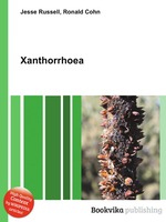 Xanthorrhoea