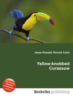 Yellow-knobbed Curassow