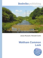 Waltham Common Lock