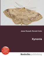 Xynonia