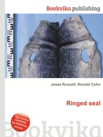 Ringed seal