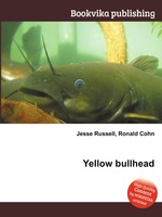 Yellow bullhead