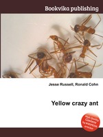 Yellow crazy ant