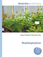 Rhytidophyllum