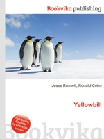 Yellowbill