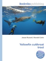 Yellowfin cutthroat trout