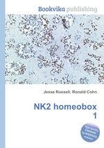 NK2 homeobox 1