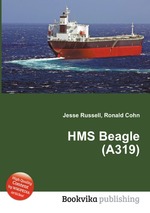 HMS Beagle (A319)