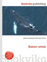 Baleen whale