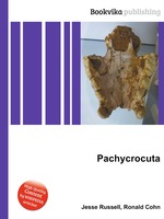 Pachycrocuta