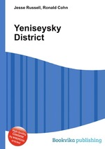 Yeniseysky District