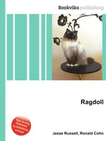 Ragdoll