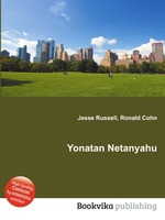 Yonatan Netanyahu