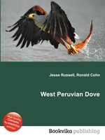 West Peruvian Dove