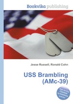 USS Brambling (AMc-39)