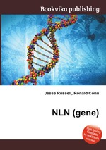 NLN (gene)