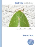 Xenochroa