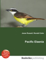 Pacific Elaenia