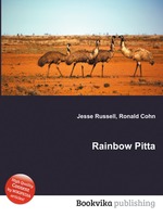 Rainbow Pitta