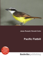 Pacific Flatbill