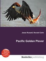 Pacific Golden Plover