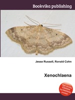 Xenochlaena