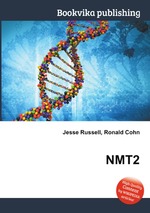 NMT2