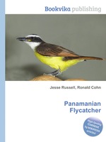 Panamanian Flycatcher