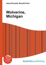 Wolverine, Michigan