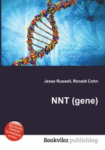 NNT (gene)