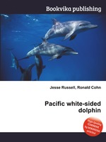 Pacific white-sided dolphin