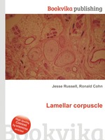 Lamellar corpuscle