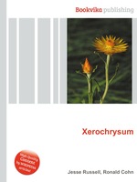 Xerochrysum