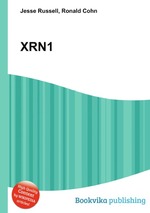 XRN1