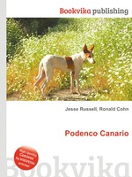 Podenco Canario