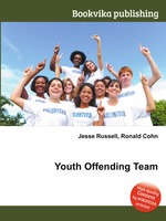 Youth Offending Team