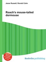 Roach`s mouse-tailed dormouse